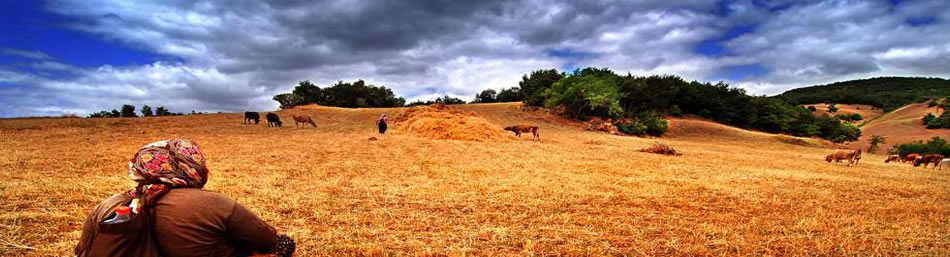 TARIM GIDA VE İÇECEK